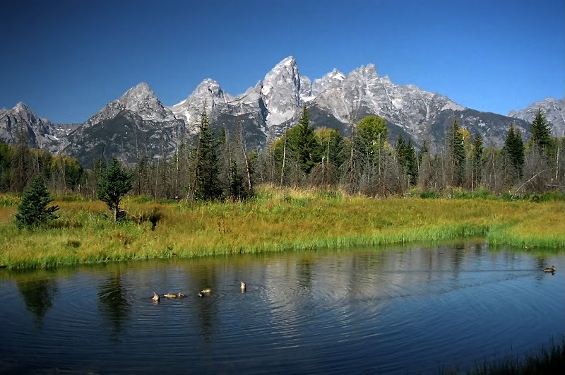 Majestic Reflections at Schwabacher Landing outdoor detail