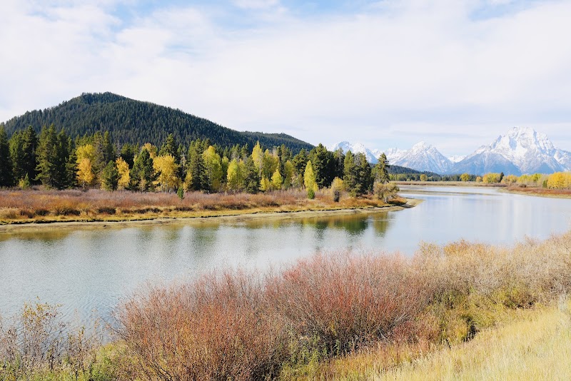 Reflective Beauty at Oxbow Bend - Oxbow Bend