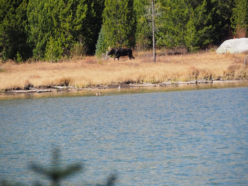 Serenity at String Lake, Wyoming outdoor detail