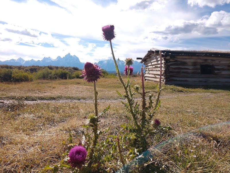 Step Back in Time at Cunningham Cabin - Cunningham Cabin Historic Site