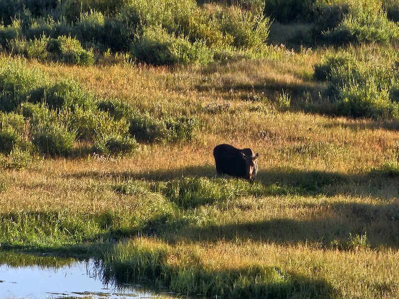 Rugged Beauty of Blacktail Ponds Overlook - Blacktail Ponds Overlook