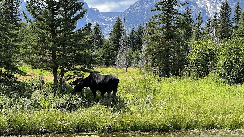Rugged Beauty of Blacktail Ponds Overlook surrounding landscape