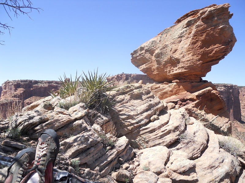 Majestic Tower in Canyon: Spider Rock - Spider Rock