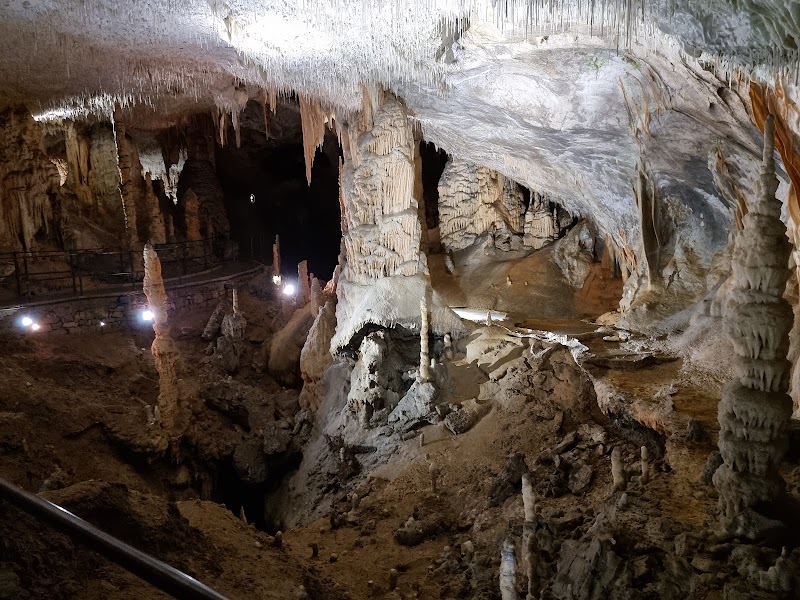 The Mystical Wonders of Postojna Cave - Postojna Cave