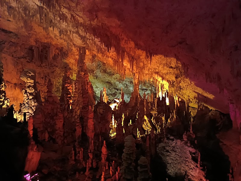 The Mystical Wonders of Postojna Cave - Postojna Cave