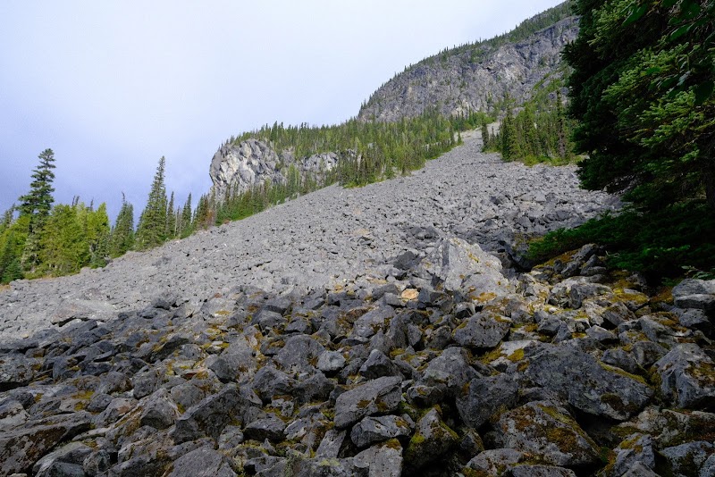 Wedgemount Lake: Alpine Wilderness Wonder outdoor detail