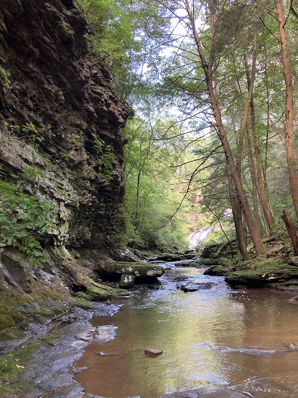 The Majestic Pisgah Gorge Falls - Pisgah Gorge Falls