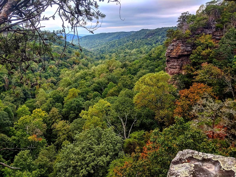 The Majestic Pisgah Gorge Falls - Pisgah Gorge Falls