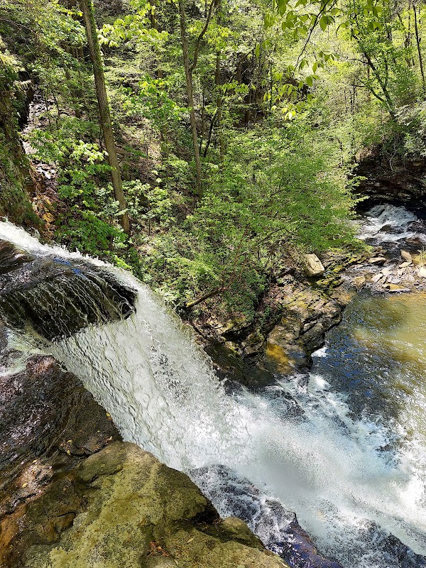 The Majestic Pisgah Gorge Falls outdoor detail