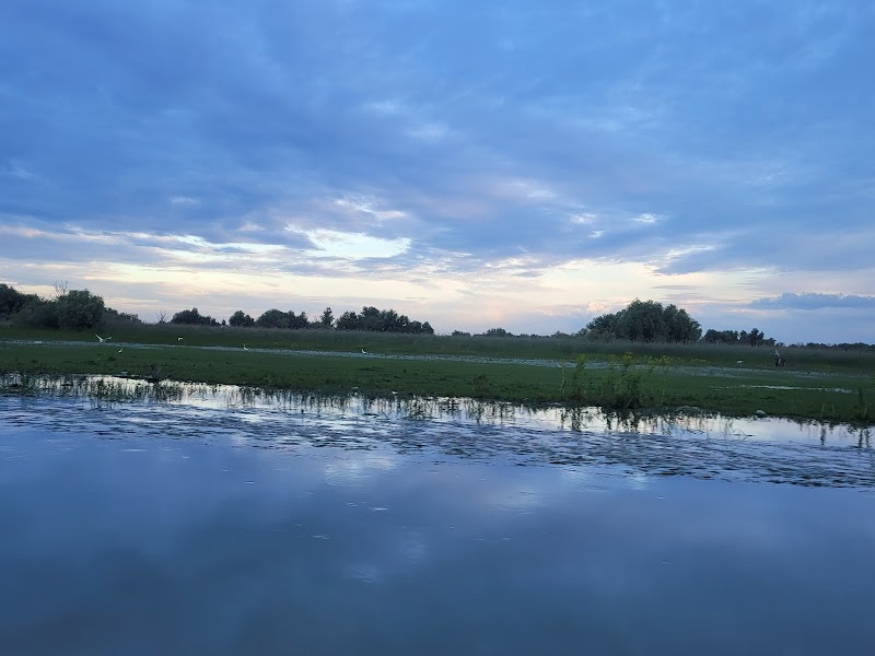 Discover the Danube Delta: A Wetland Wonderland - Danube Delta