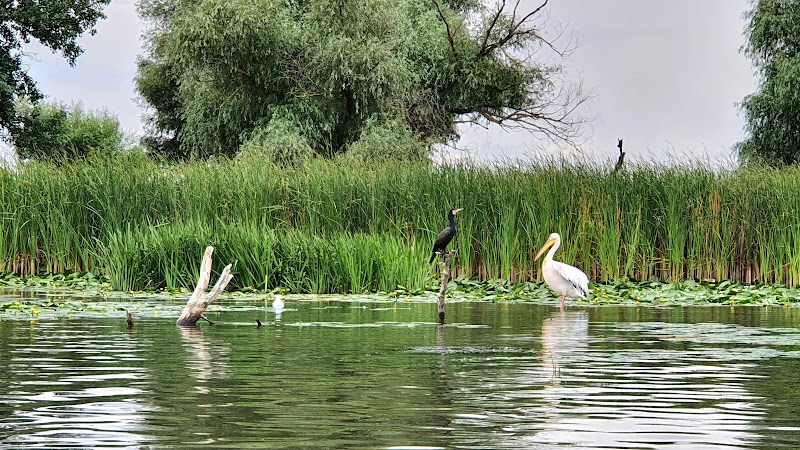Discover the Danube Delta: A Wetland Wonderland - Danube Delta