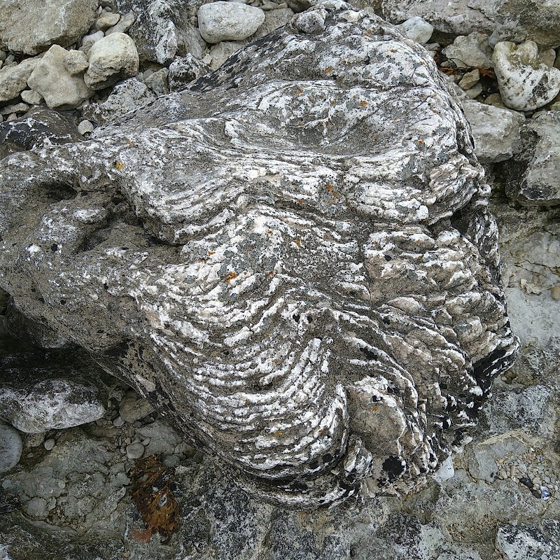 Mystical Rock Formations at Langhammarsgubben - Raukar - Langhammarsgubben - Raukar