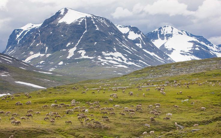 Sarek National Park: Untamed Wilderness in Lapland - Sarek National Park