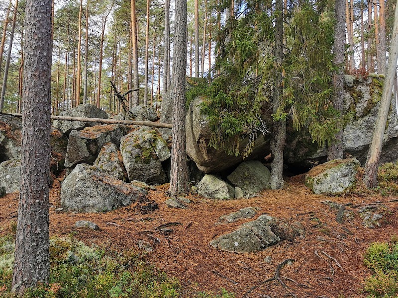 Verdant Valleys and Serene Waters at Tiveden National Park - Tiveden National Park