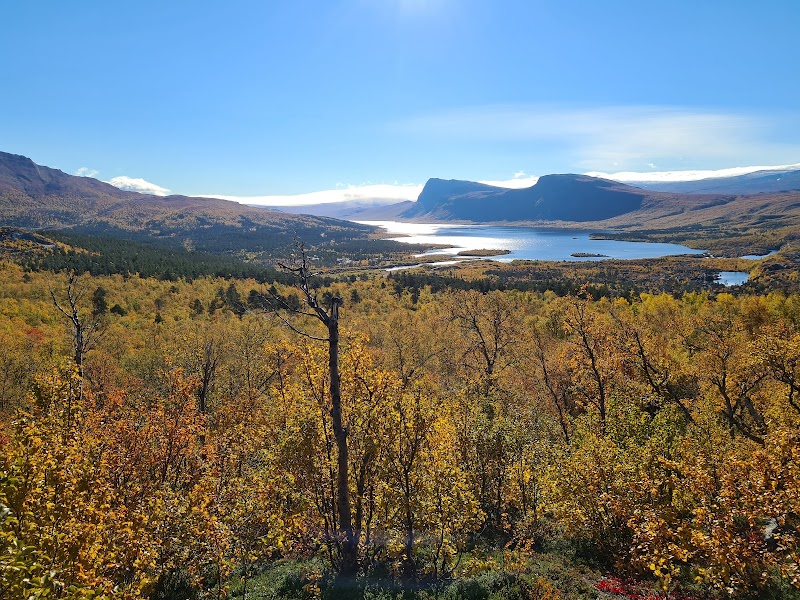 Nature's Majesty: Stora Sjöfallets National Park - Stora Sjöfallets / Stuor Muorkke National Park