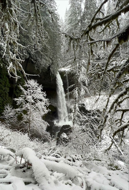 Cascade Charm at North Falls surrounding landscape