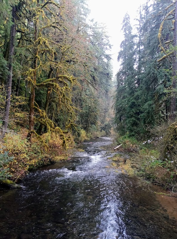 Cascade Charm at North Falls - North Falls
