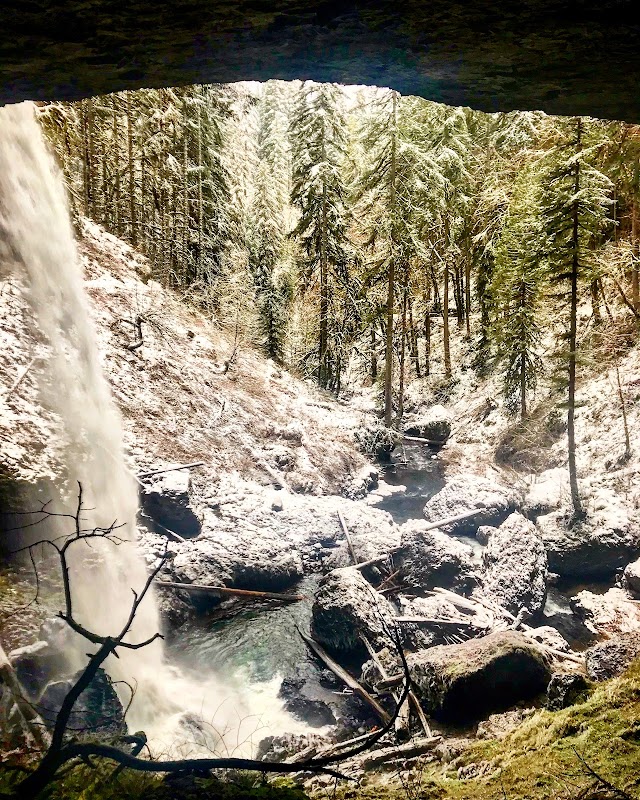 Cascade Charm at North Falls - North Falls