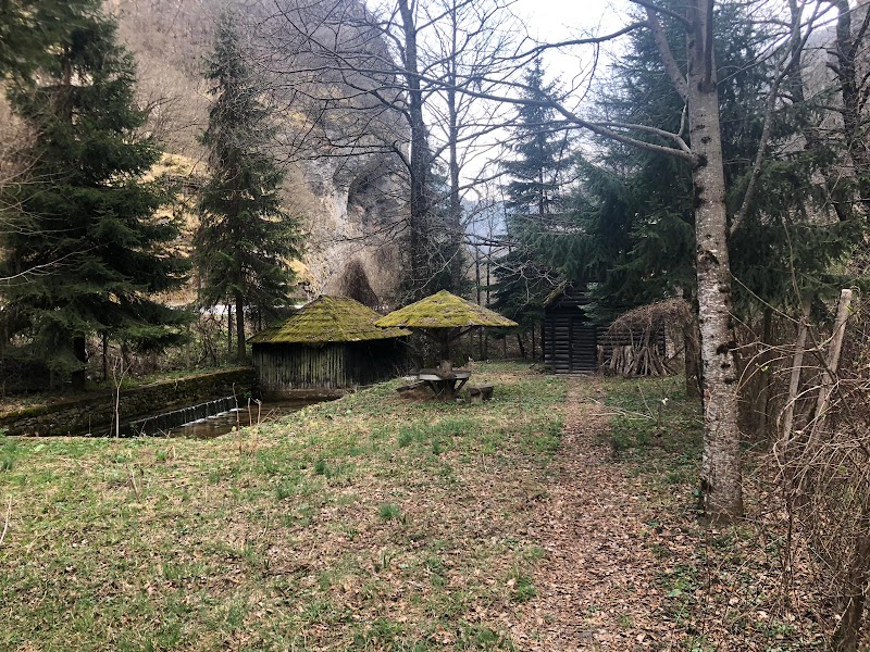 Tranquil Waters of Radika, Mavrovo National Park - Radika
