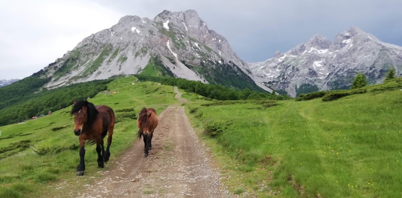 Majestic Peaks of Komovi - Komovi