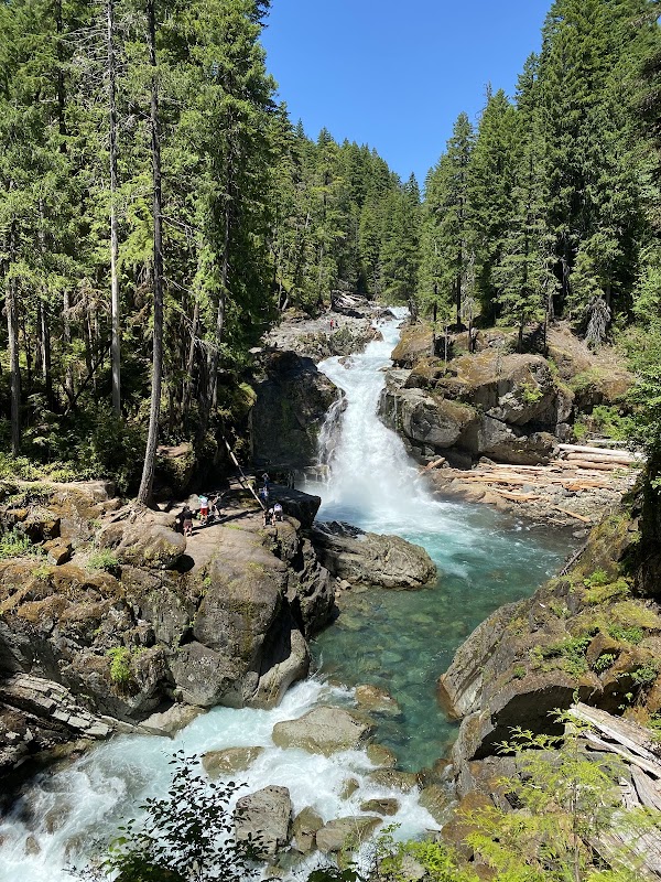 Chasing Cascades at Silver Falls Loop Trail - Silver Falls Loop Trail