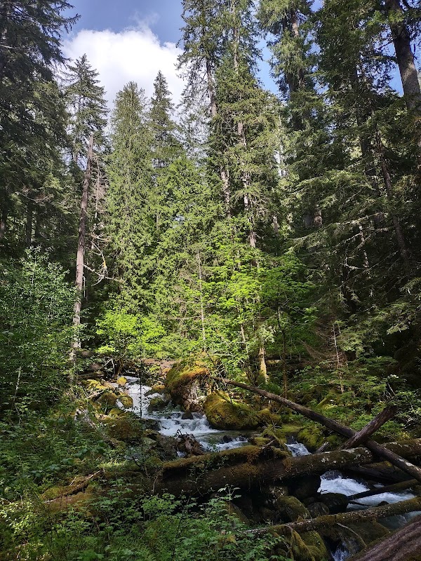 Chasing Cascades at Silver Falls Loop Trail - Silver Falls Loop Trail
