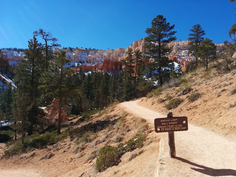 Navajo Loop Trail: A Journey Through Bryce Canyon's Wonders - Navajo Loop Trail