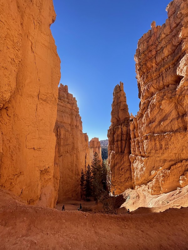 Navajo Loop Trail: A Journey Through Bryce Canyon's Wonders surrounding landscape