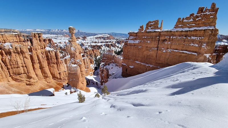 Navajo Loop Trail: A Journey Through Bryce Canyon's Wonders outdoor detail