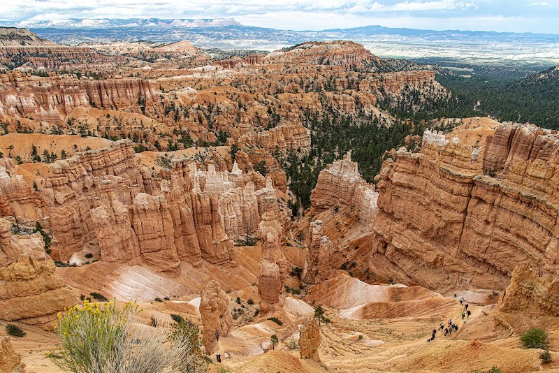 Navajo Loop Trail: A Journey Through Bryce Canyon's Wonders - Navajo Loop Trail