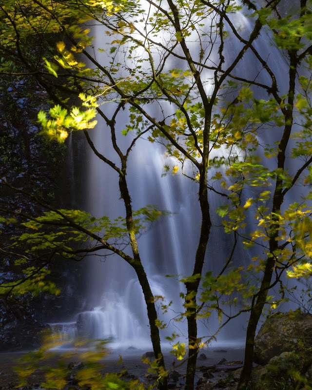 Twin Cascades: Double Falls, Oregon - Double Falls