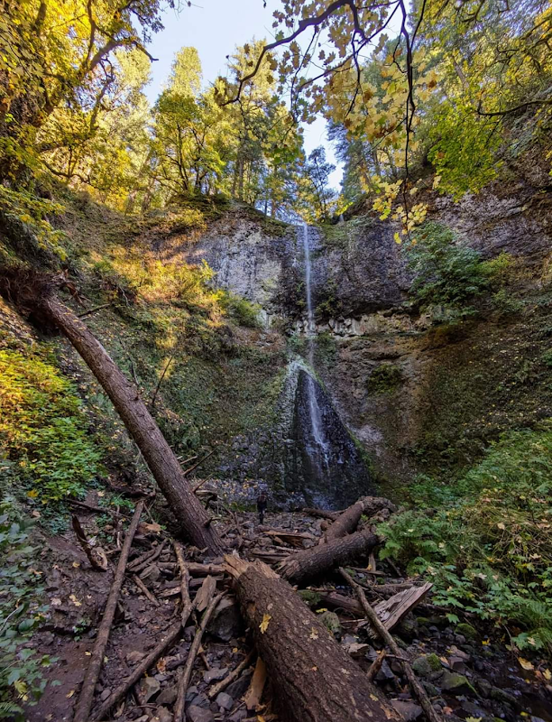 Twin Cascades: Double Falls, Oregon outdoor detail