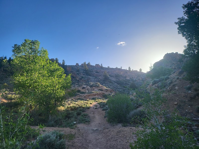 Discover the Rugged Charm of Hartman Rocks surrounding landscape
