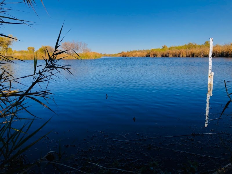 Discover the Natural Beauty of El Chausse - El Chausse
