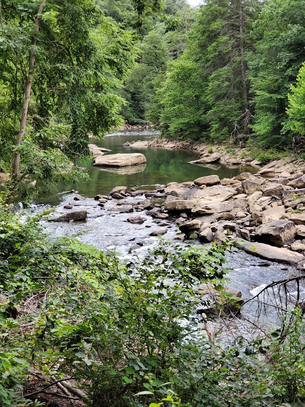 Audra State Park: A Natural Haven - Audra State Park