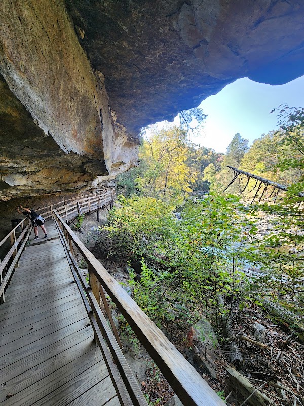 Audra State Park: A Natural Haven surrounding landscape