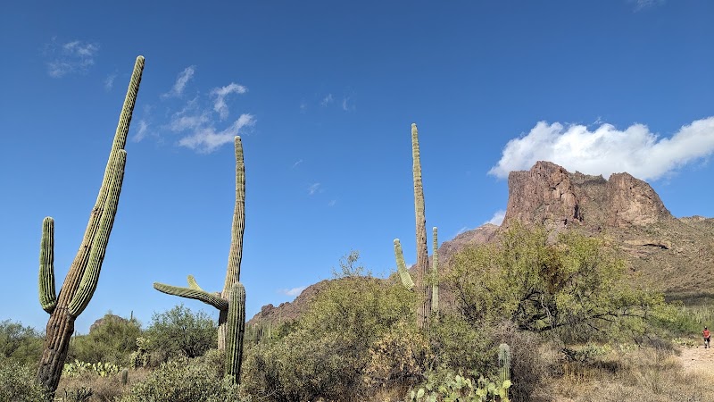 Cave Wonders of Gold Canyon: The Wave Cave surrounding landscape