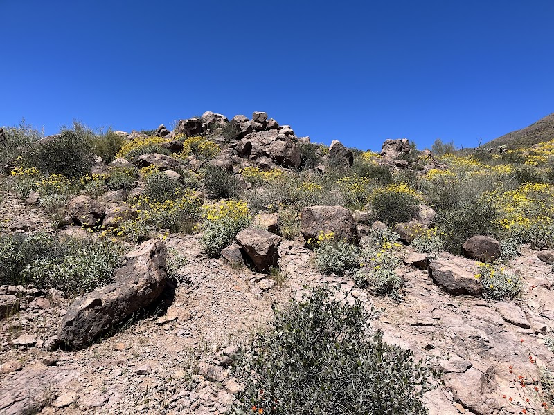 Petroglyph Spring: The Hidden Gem of Gold Canyon outdoor detail