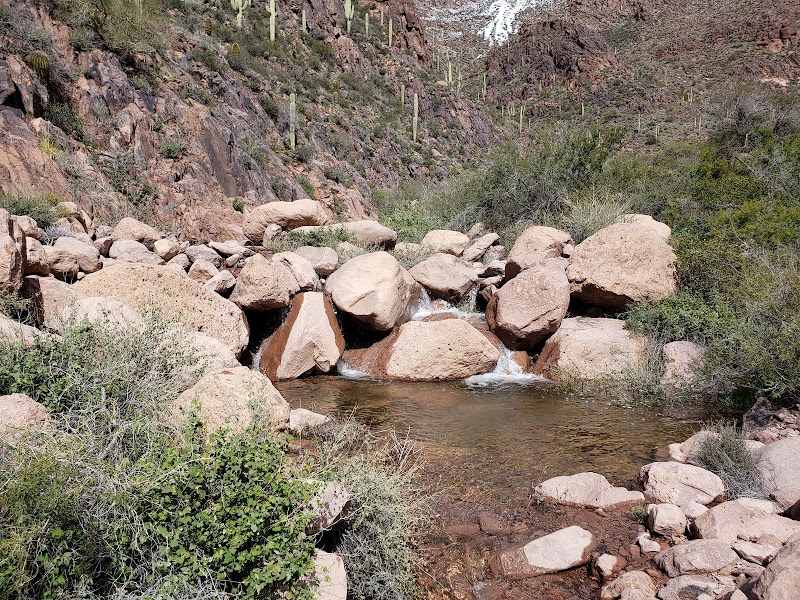 Petroglyph Spring: The Hidden Gem of Gold Canyon - Petroglyph Spring