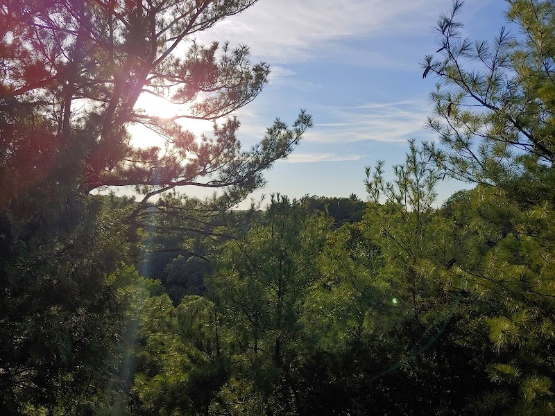 Scenic Views at Lover's Leap Overlook outdoor detail