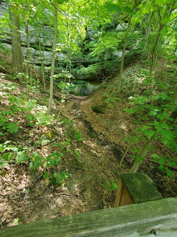 Discover LaSalle Canyon: A Natural Treasure in Illinois surrounding landscape