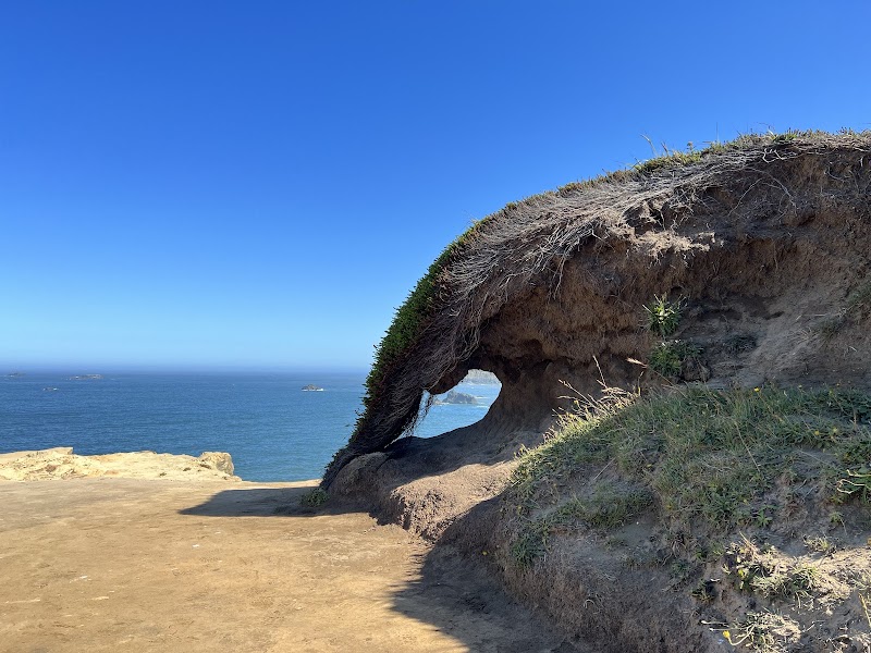 Scenic Wonder at North Bailey Beach Access, Gold Beach surrounding landscape