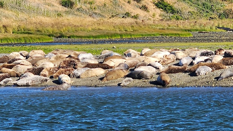 Scenic Wonders of Gold Beach outdoor detail