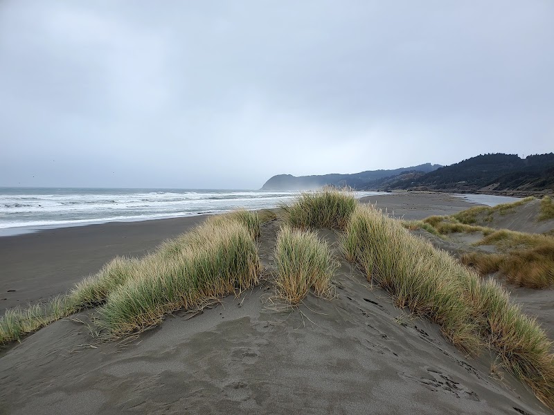 Sandy Shores & Dunes: Pistol River State Scenic Viewpoint - Pistol River State Scenic Viewpoint