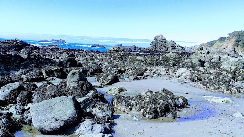 Coastal Wonders at Brookings Research Reserve - Brookings Research Reserve