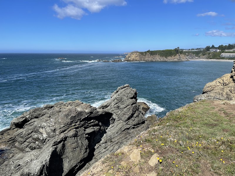 Coastal Serenity at Chetco Point Park - Chetco Point Park