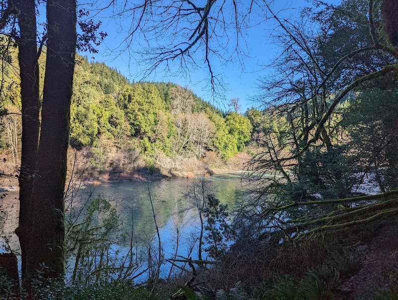 Nature’s Retreat: Alfred A. Loeb State Park outdoor detail
