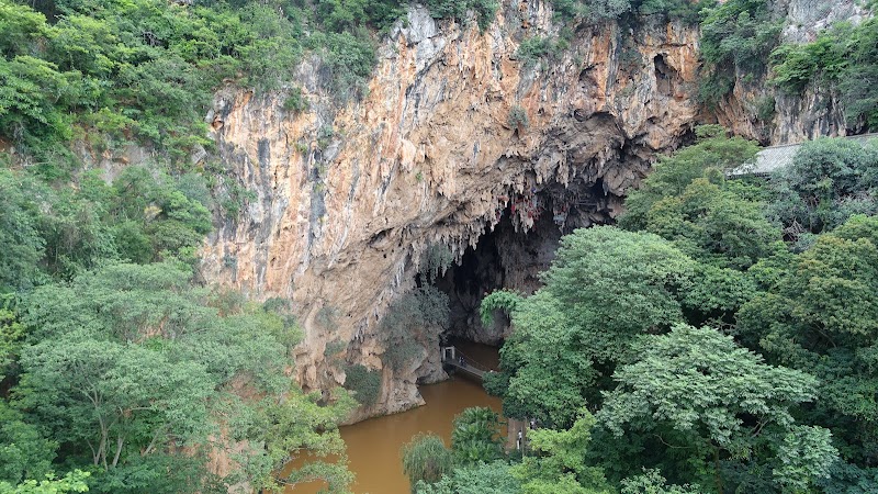 Natural Wonder: Swallow Cave, Jianshui - Swallow Cave