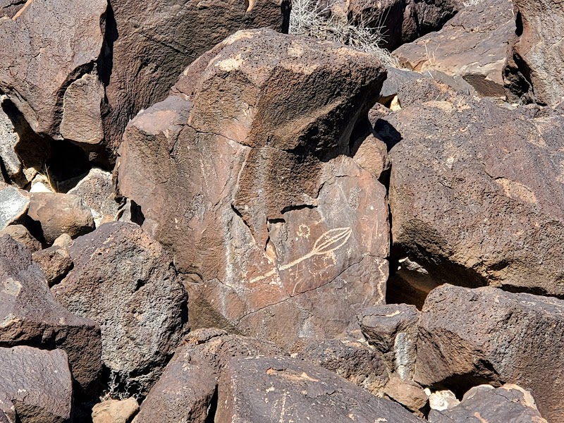 Petroglyph Wonders at Mesa Point Trail - Mesa Point Trail