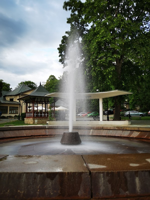Natural Wonder at Herlany: The Geyser Phenomenon - Herlany Geyser